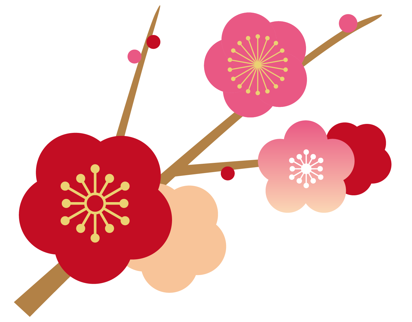 先生のお役立ち情報もりだくさん！