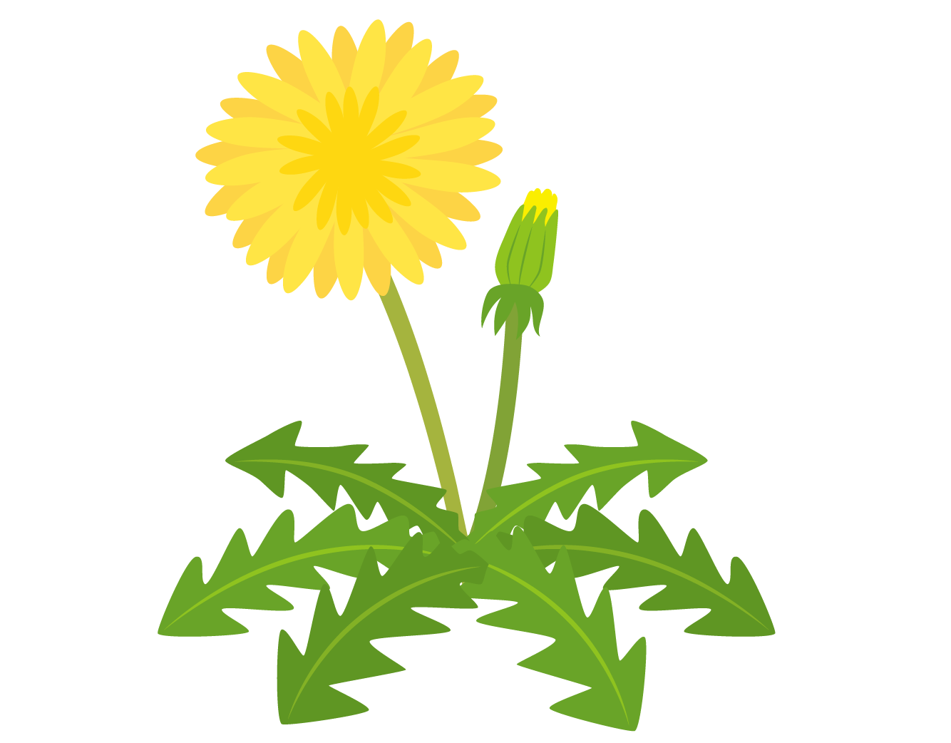 先生のお役立ち情報もりだくさん！