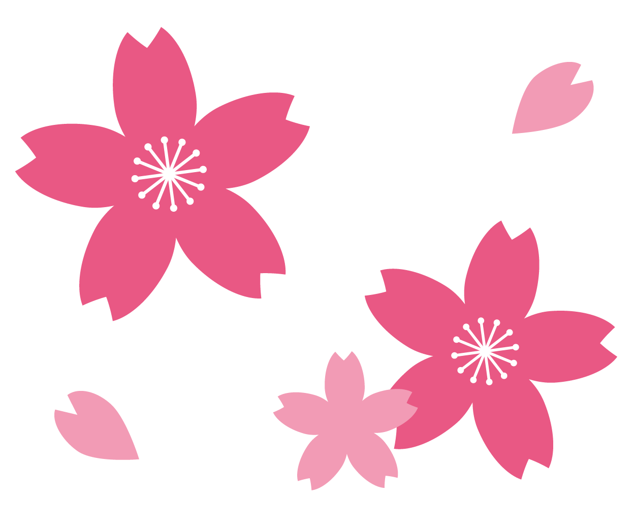 先生のお役立ち情報もりだくさん！